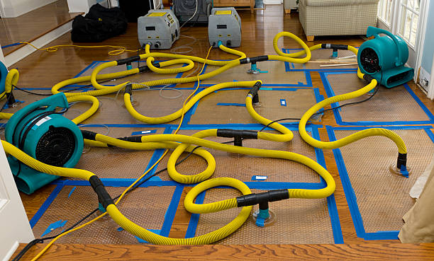 Professional Sewage Cleanup technician working in Quincy, CA